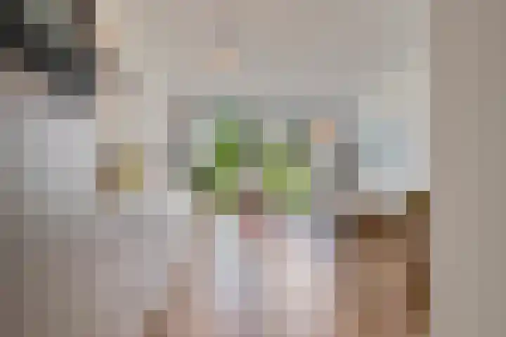 Dijkmeerlaan 309 Amsterdam thumbnail 12