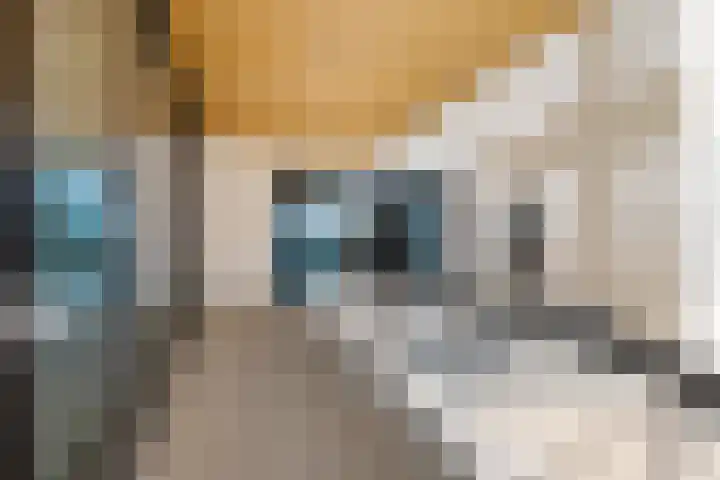 Dijkmeerlaan 309 Amsterdam thumbnail 19