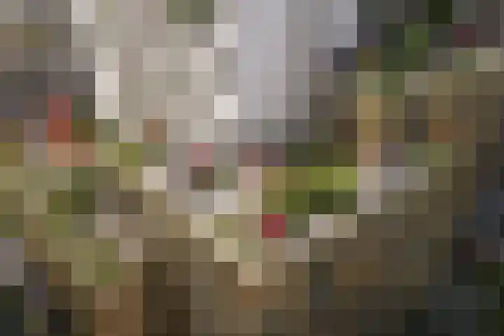 Dijkmeerlaan 309 Amsterdam thumbnail 23