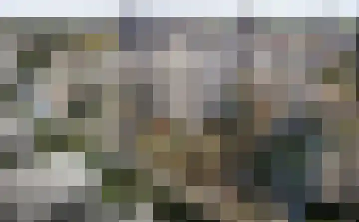 Dijkmeerlaan 309 Amsterdam thumbnail 30