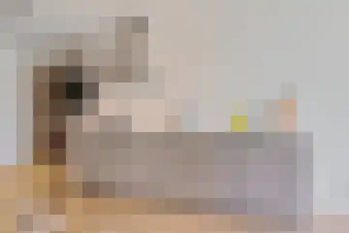 Dijkmeerlaan 309 Amsterdam thumbnail 4