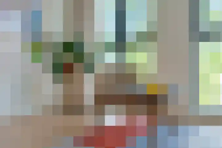 Dijkmeerlaan 309 Amsterdam thumbnail 8