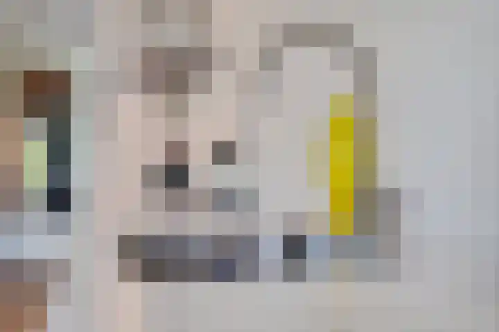 Dijkmeerlaan 309 Amsterdam thumbnail 9