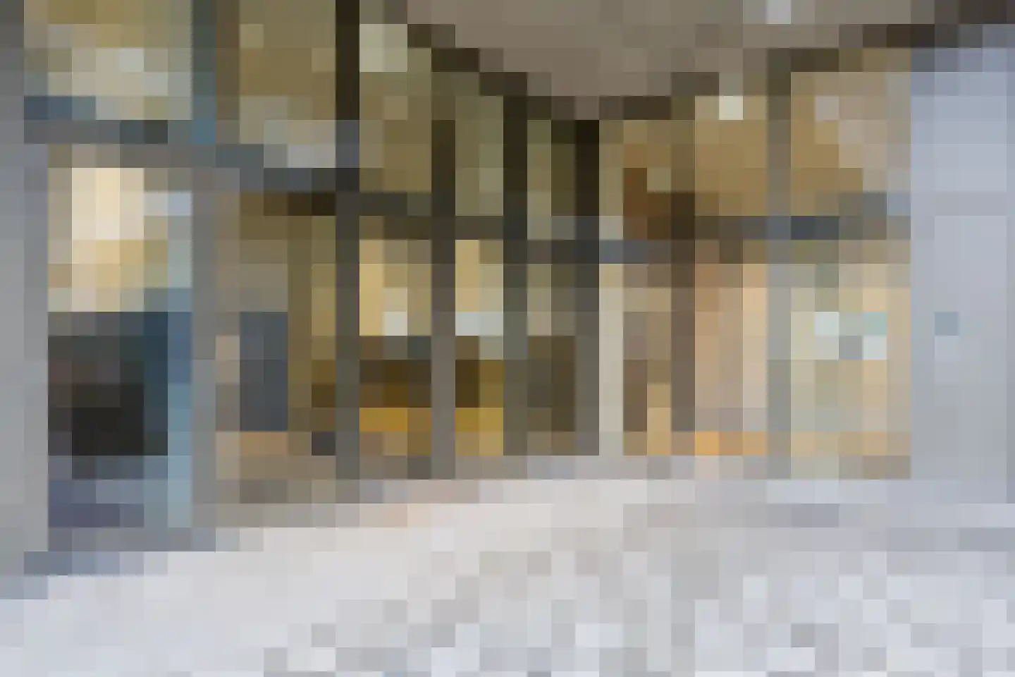 Dijkmeerlaan 32 Amsterdam thumbnail 10