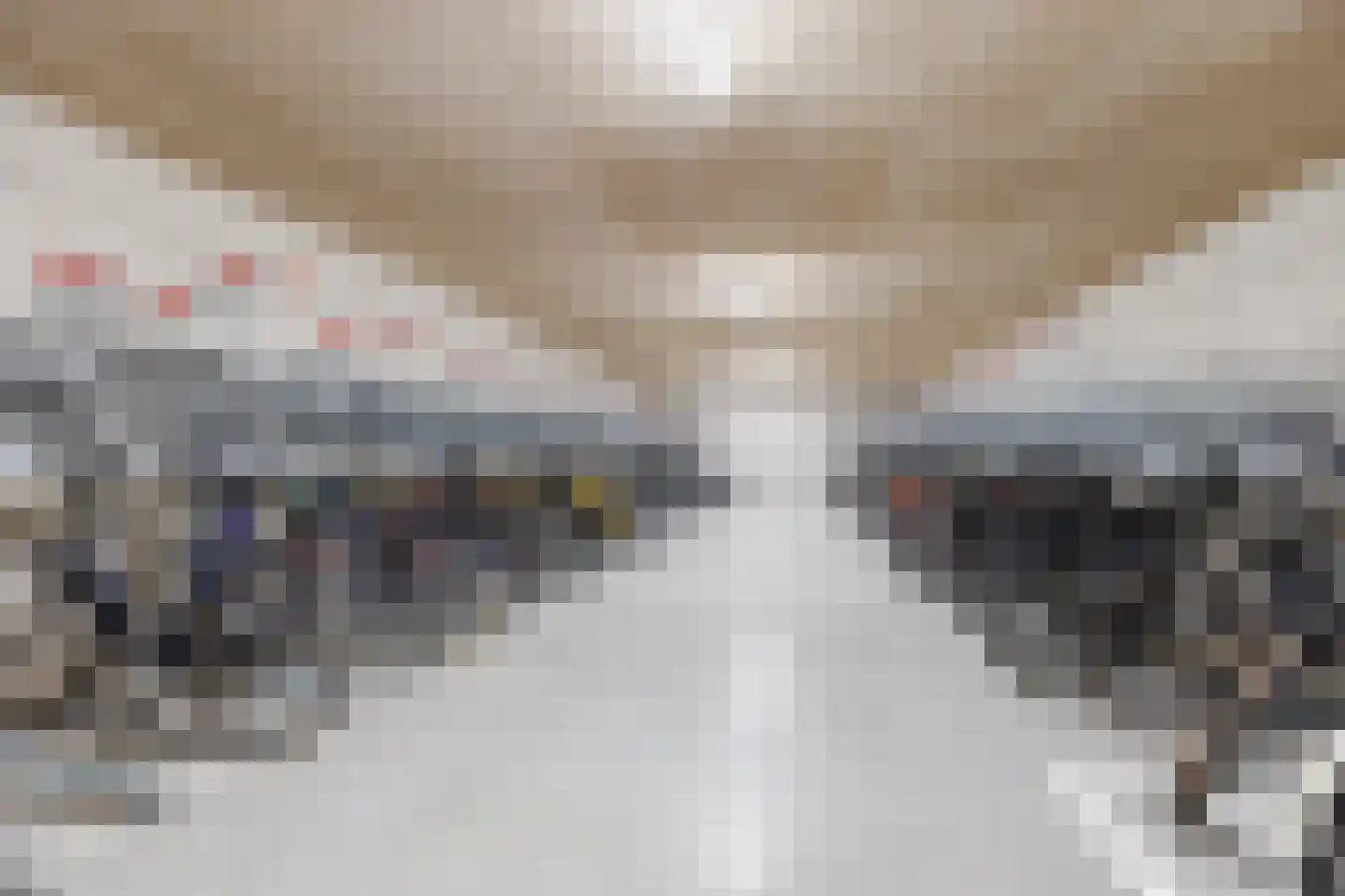 Dijkmeerlaan 32 Amsterdam thumbnail 45