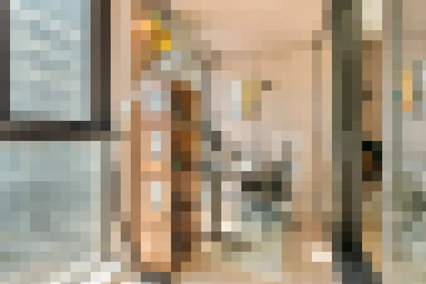 Dijkmeerlaan 341 Amsterdam thumbnail 11