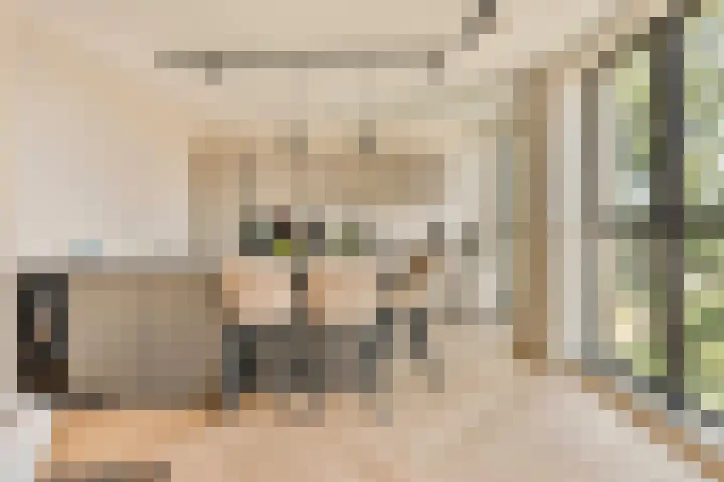 Dijkmeerlaan 341 Amsterdam thumbnail 4