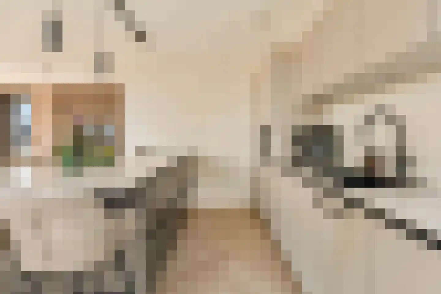 Dijkmeerlaan 341 Amsterdam thumbnail 5