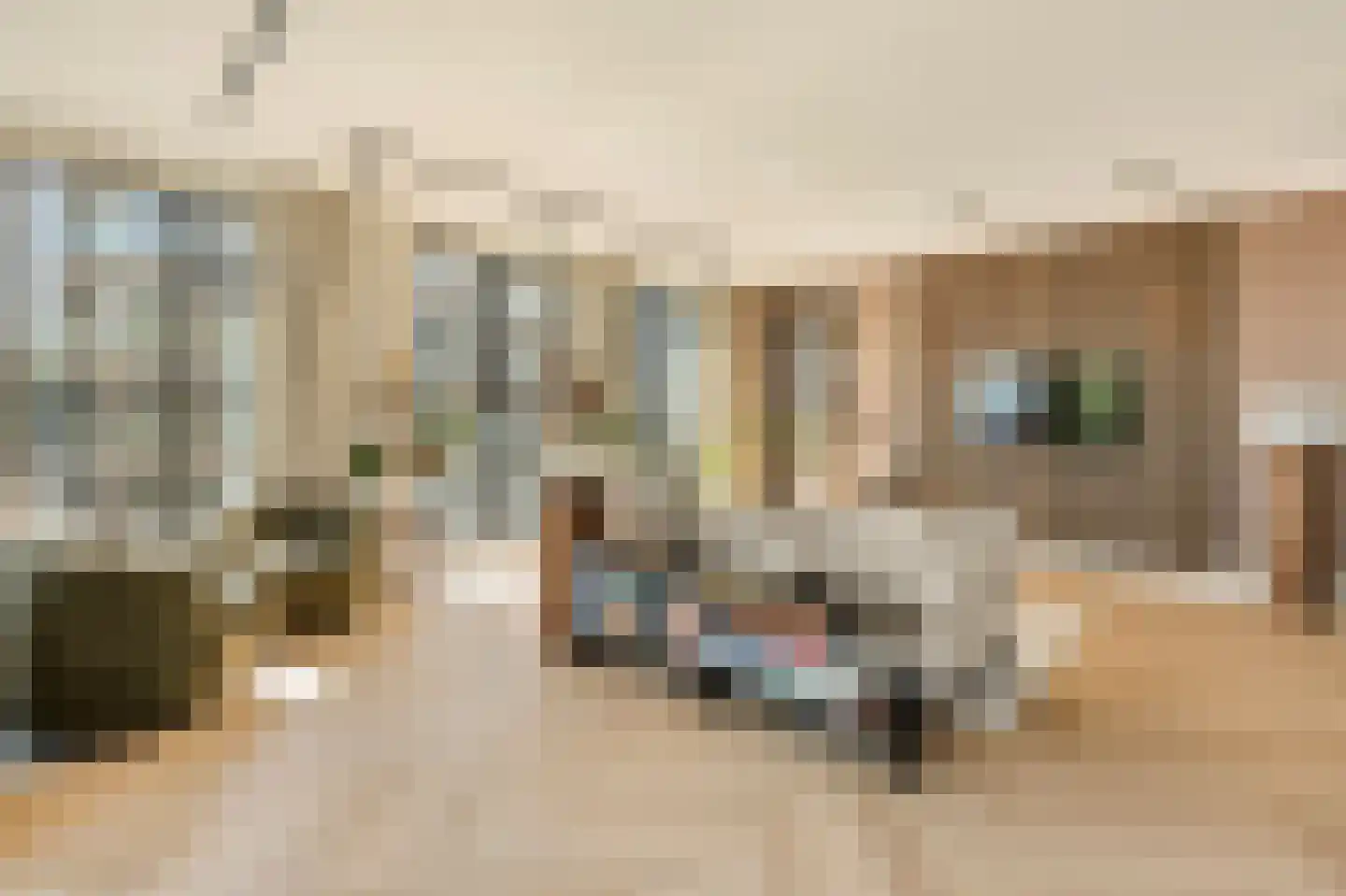 Dijkmeerlaan 341 Amsterdam thumbnail 6