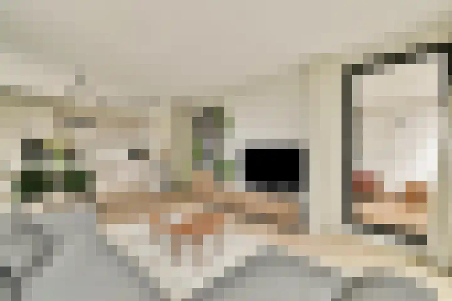 Dijkmeerlaan 347 Amsterdam thumbnail 4