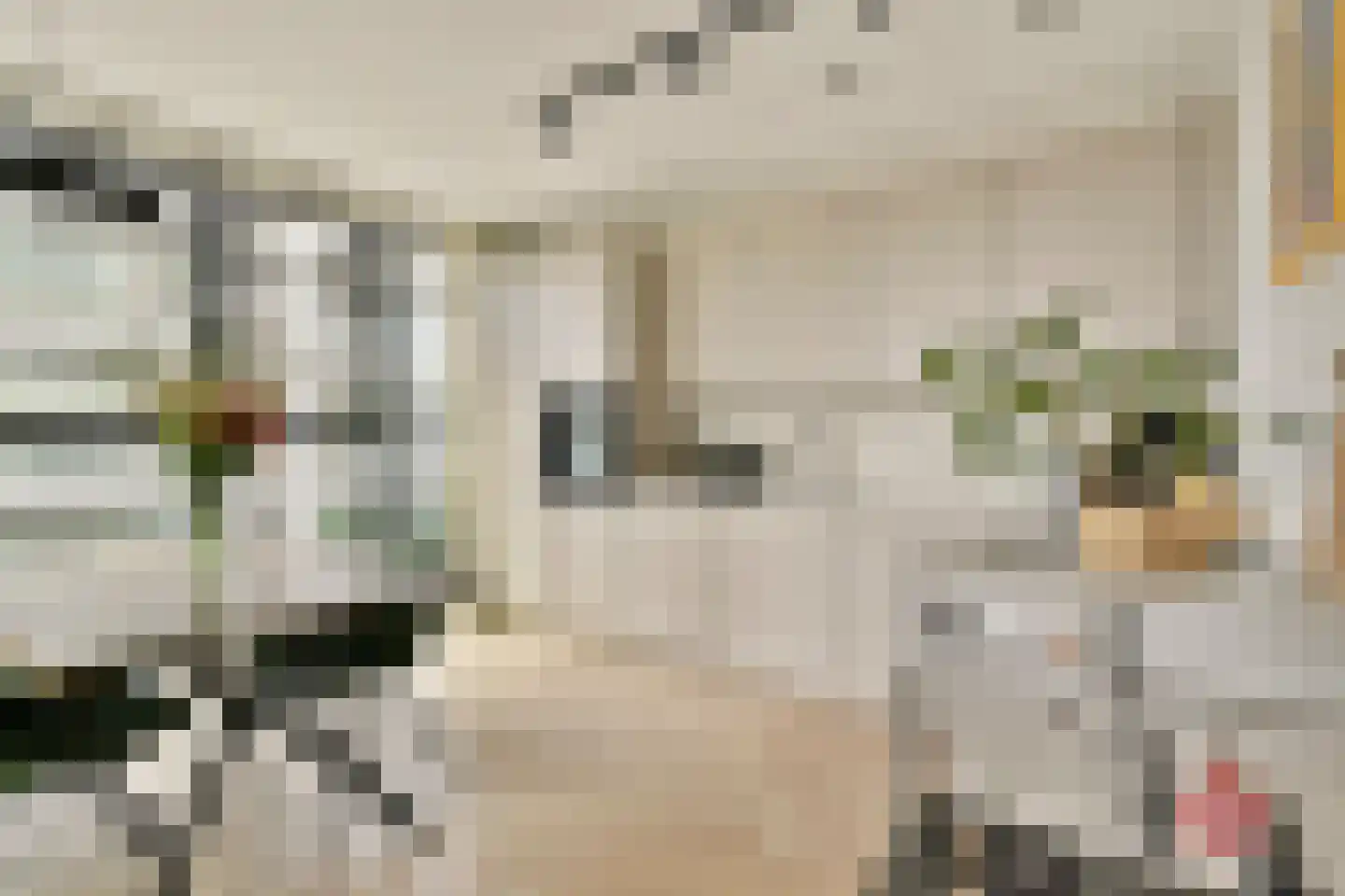 Dijkmeerlaan 347 Amsterdam thumbnail 5