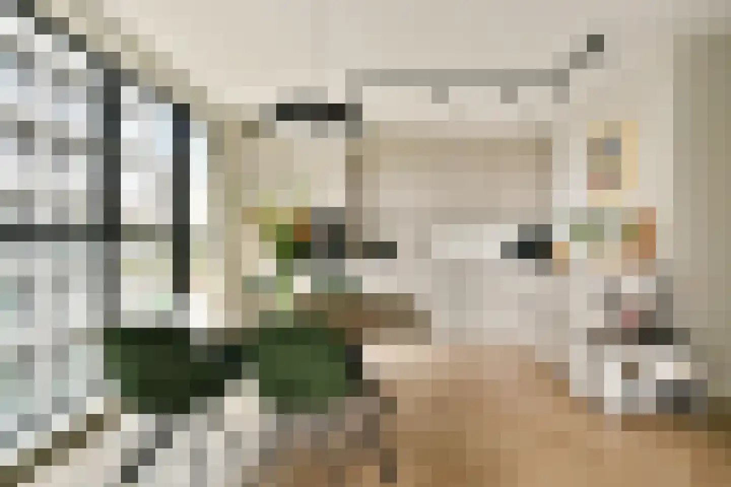 Dijkmeerlaan 347 Amsterdam thumbnail 7