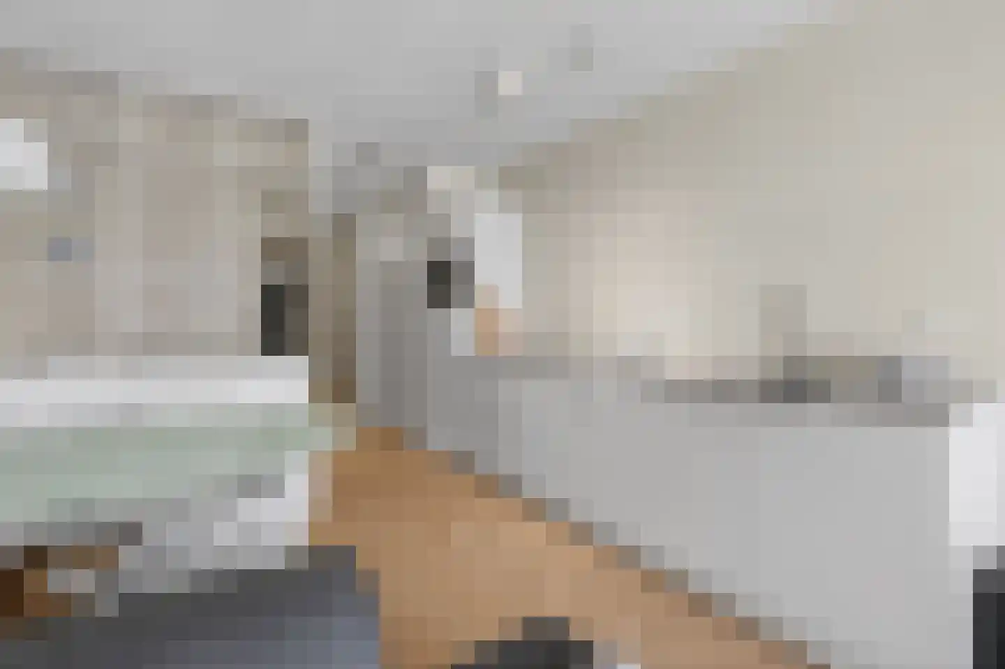Dijkmeerlaan 365 Amsterdam thumbnail 18