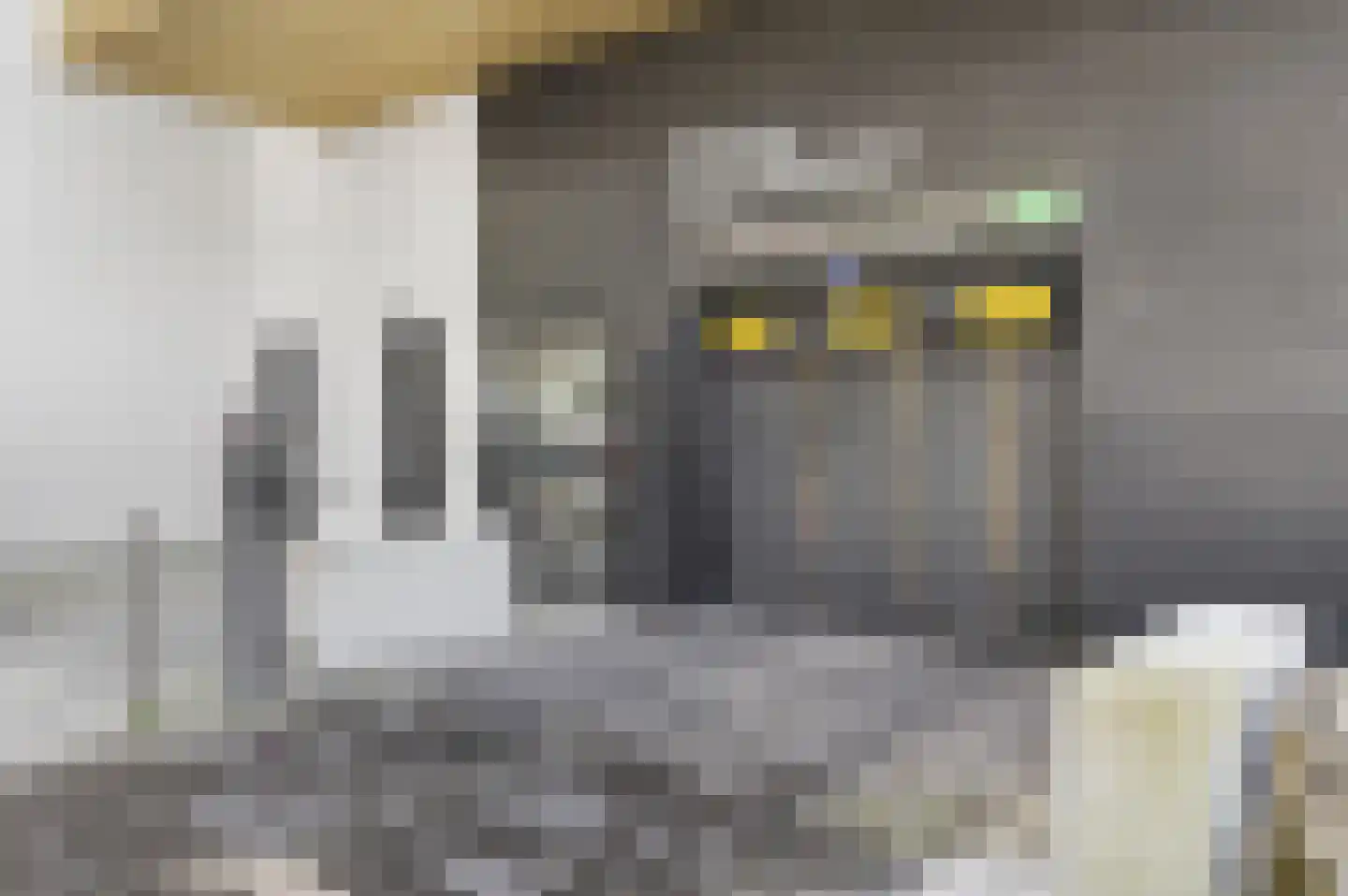 Dijkmeerlaan 365 Amsterdam thumbnail 27