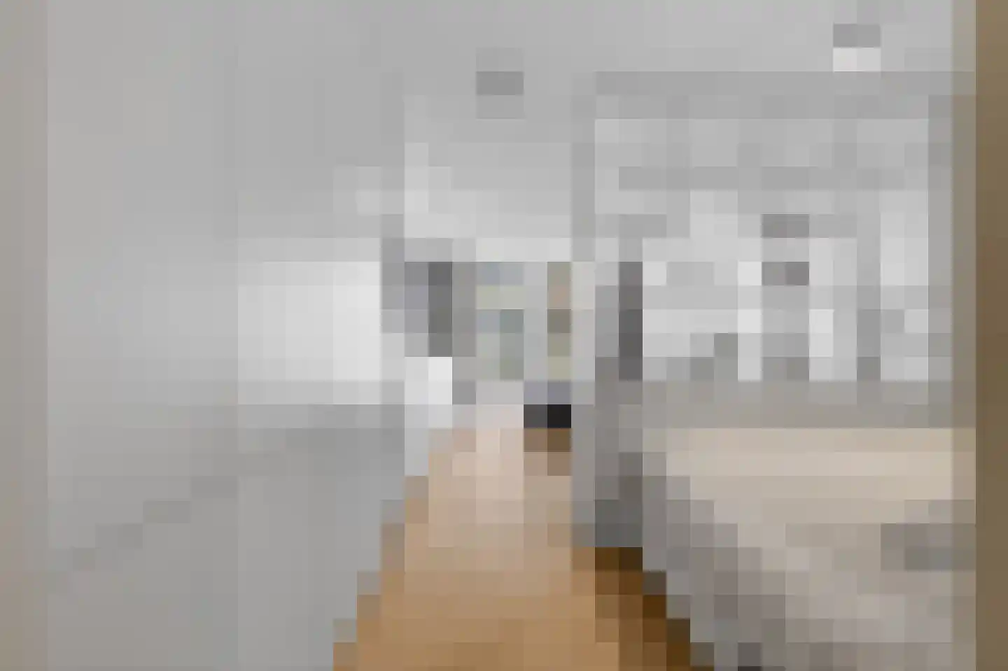Dijkmeerlaan 365 Amsterdam thumbnail 6