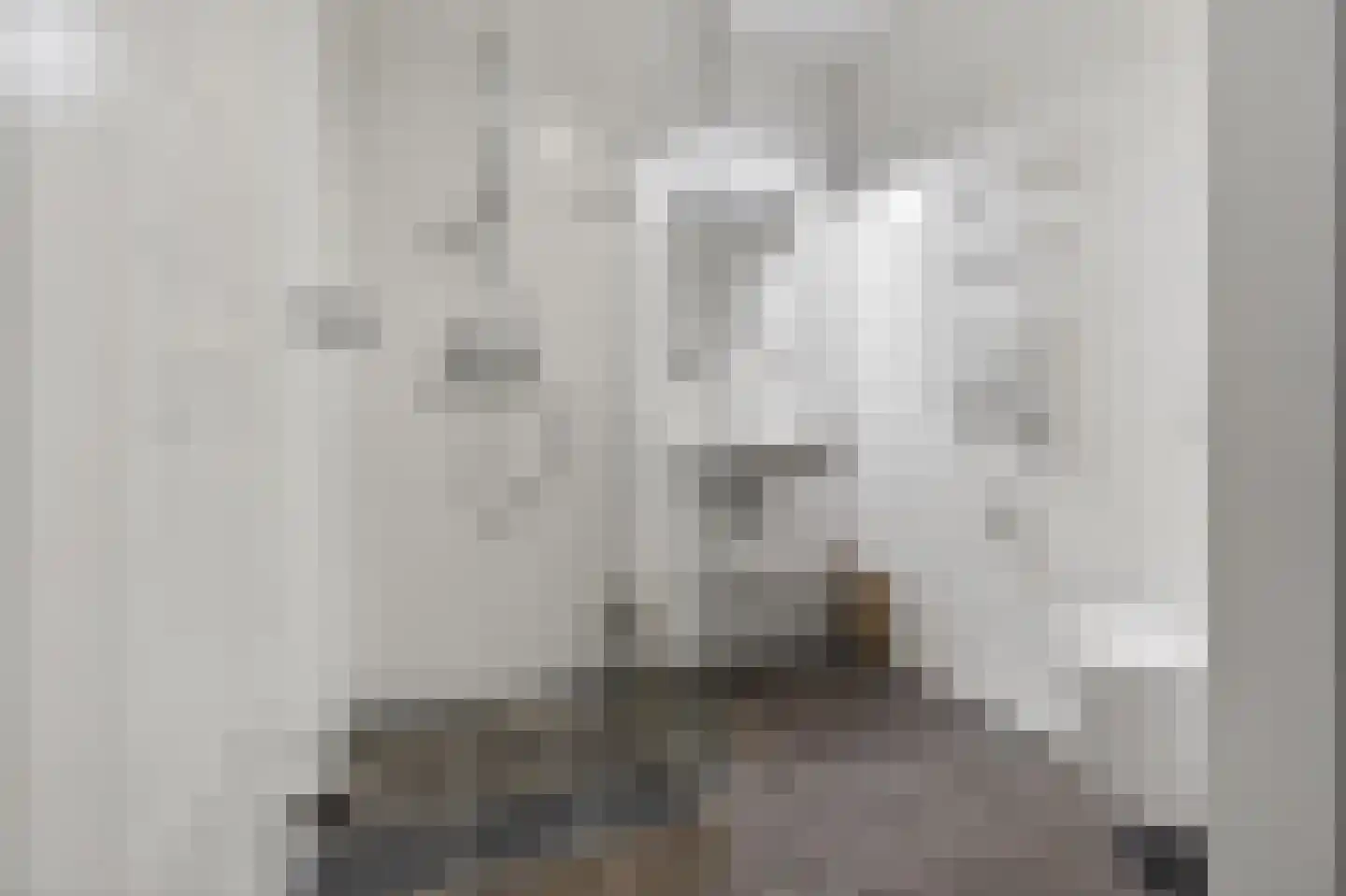 Dijkmeerlaan 365 Amsterdam thumbnail 7