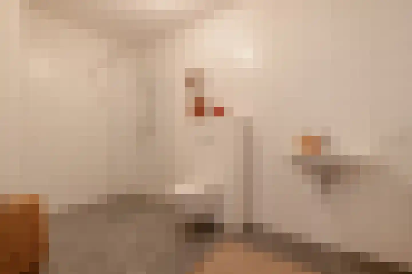 Dijkmeerlaan 392 Amsterdam thumbnail 20