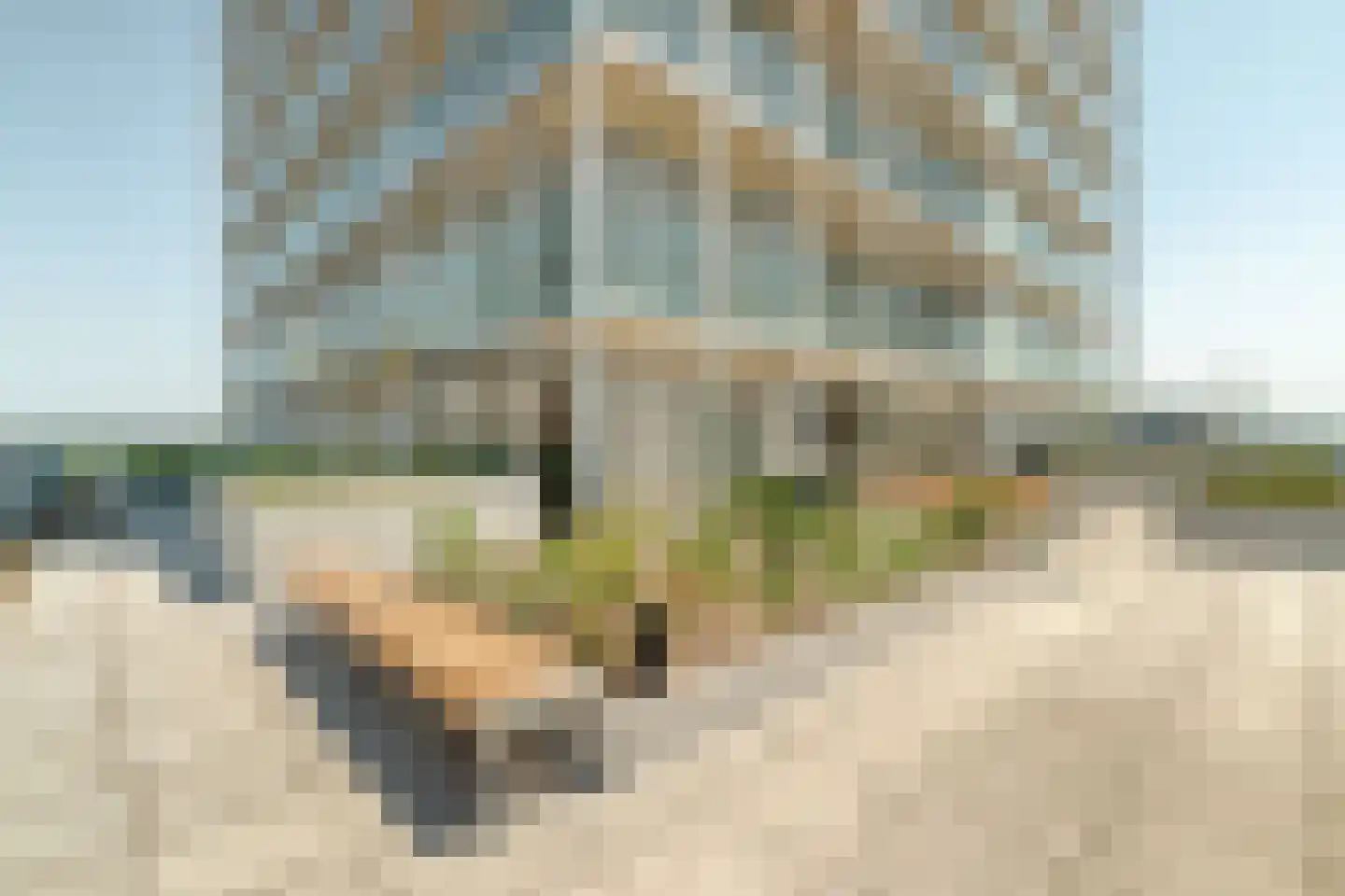Dijkmeerlaan 392 Amsterdam thumbnail 24