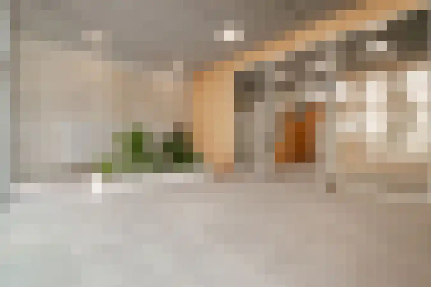 Dijkmeerlaan 392 Amsterdam thumbnail 27