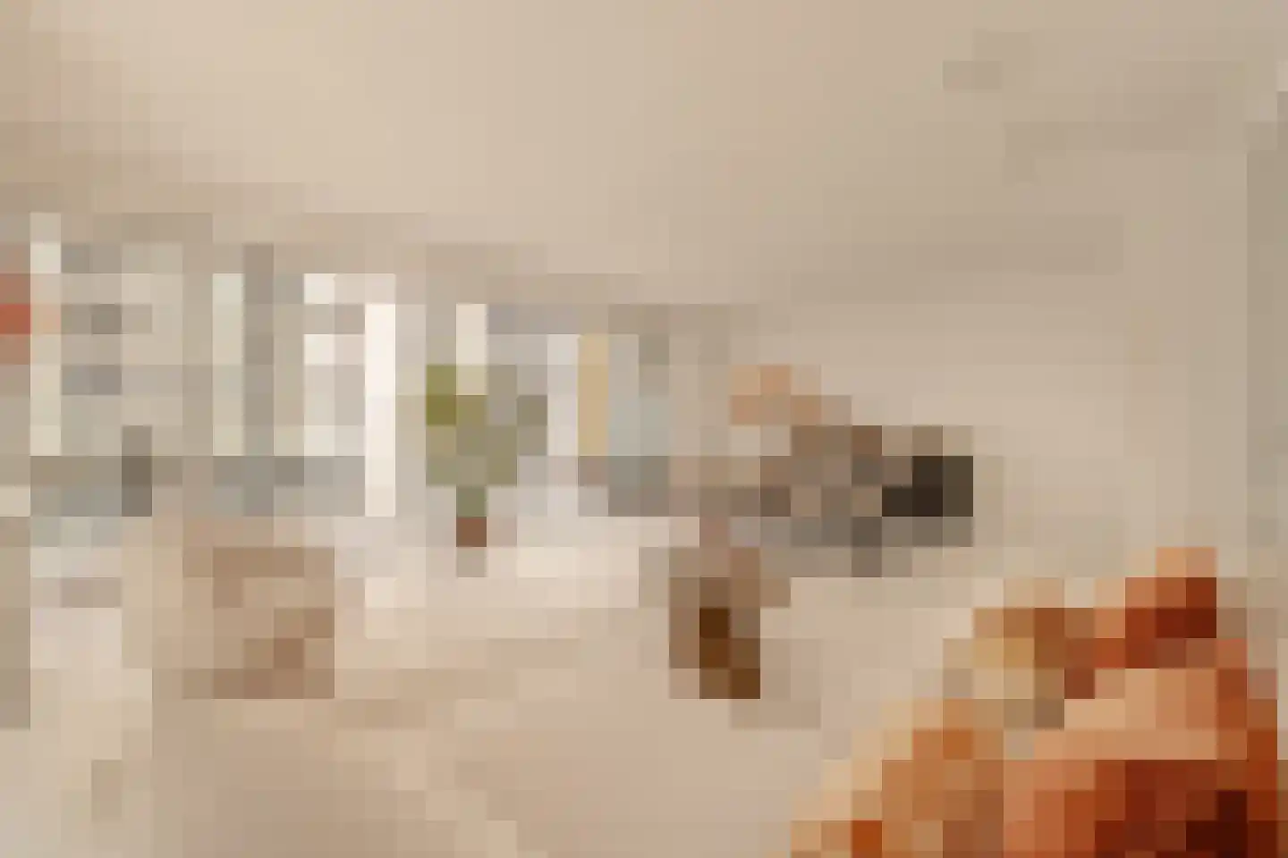 Dijkmeerlaan 392 Amsterdam thumbnail 7