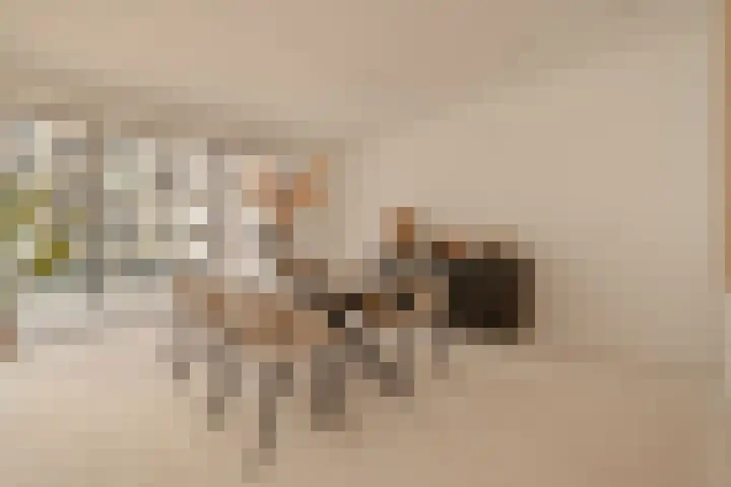 Dijkmeerlaan 392 Amsterdam thumbnail 9