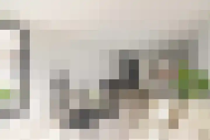 Dijkmeerlaan 401 Amsterdam thumbnail 10