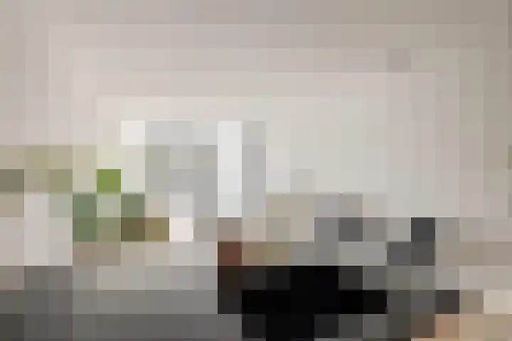 Dijkmeerlaan 401 Amsterdam thumbnail 15