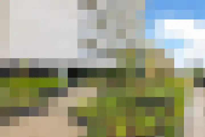 Dijkmeerlaan 401 Amsterdam thumbnail 25