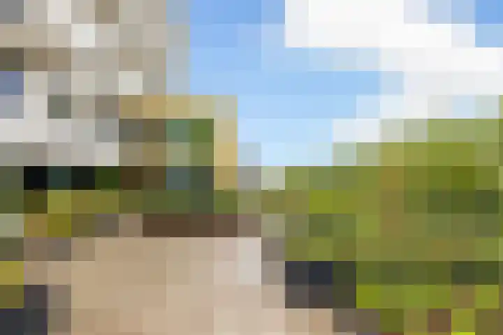 Dijkmeerlaan 401 Amsterdam thumbnail 26