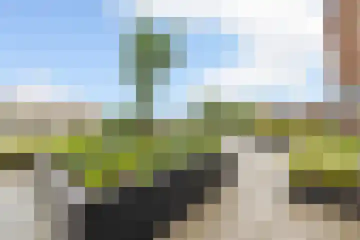 Dijkmeerlaan 401 Amsterdam thumbnail 27