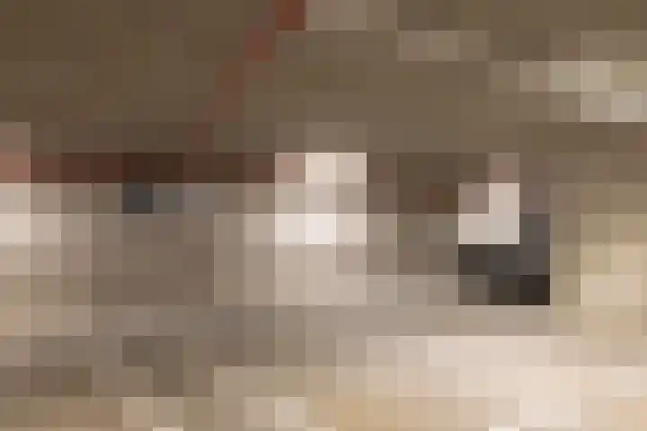 Dijkmeerlaan 401 Amsterdam thumbnail 28