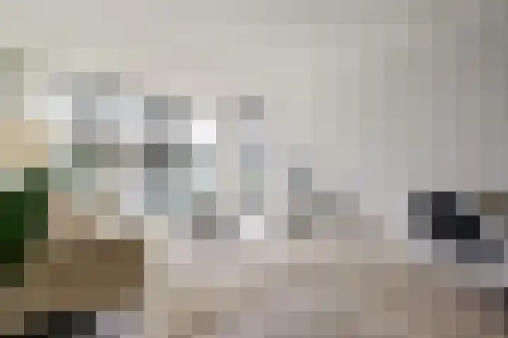 Dijkmeerlaan 401 Amsterdam thumbnail 6