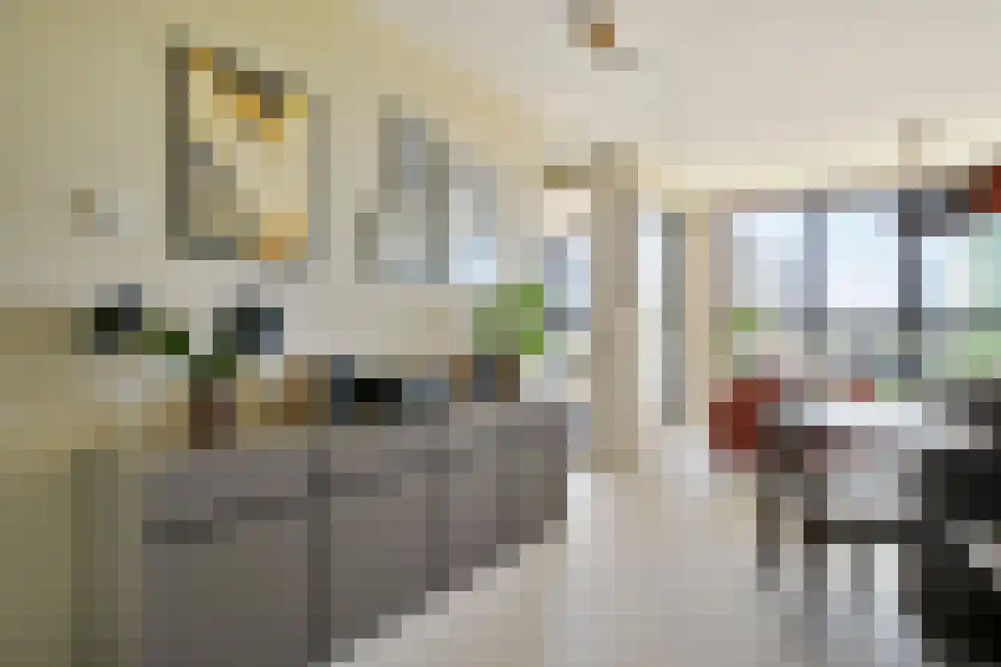 Dijkmeerlaan 425 Amsterdam thumbnail 10