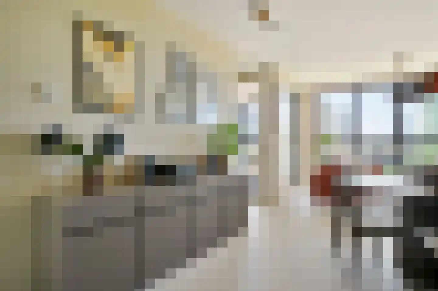 Dijkmeerlaan 425 Amsterdam thumbnail 12