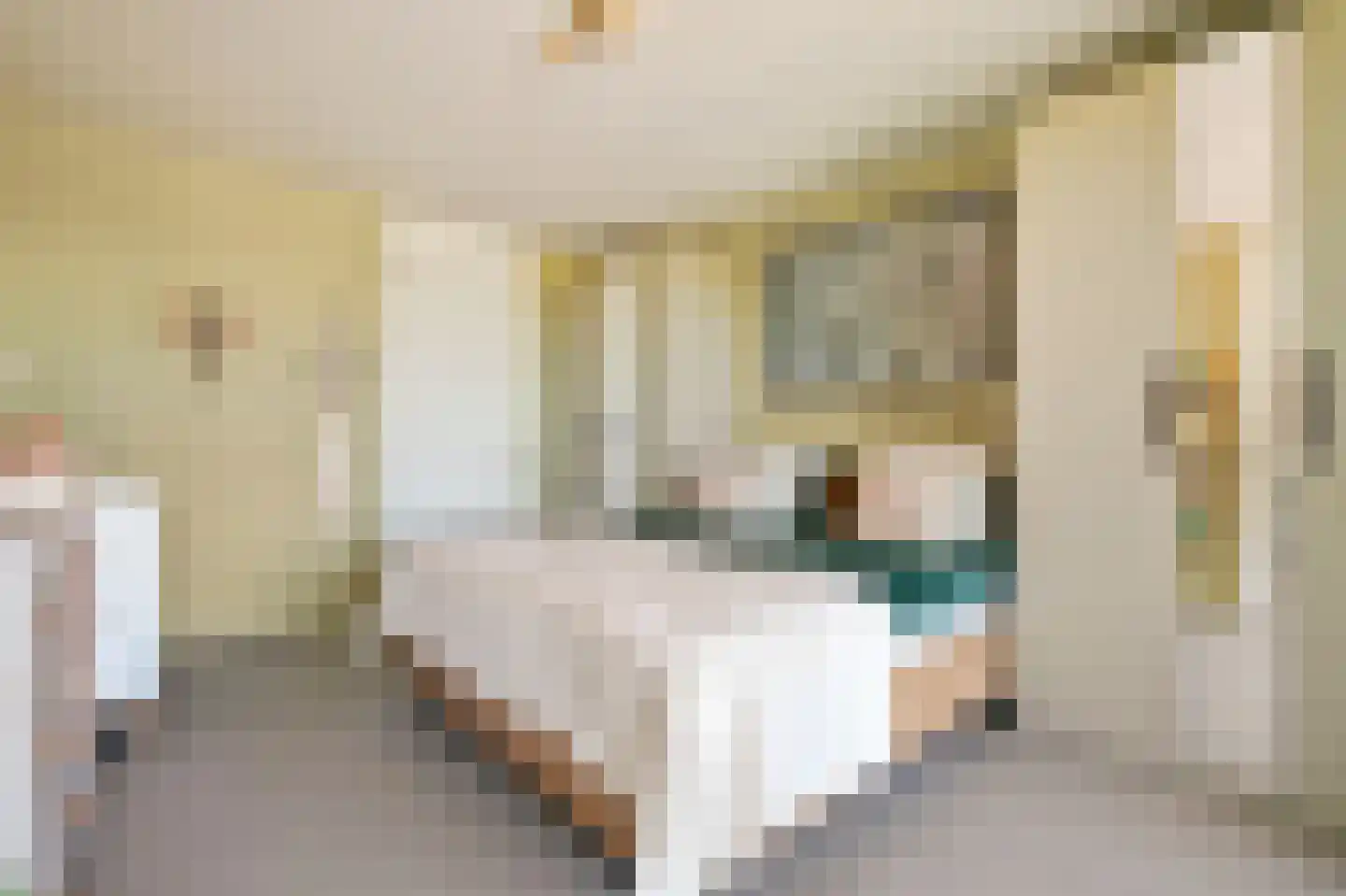 Dijkmeerlaan 425 Amsterdam thumbnail 12