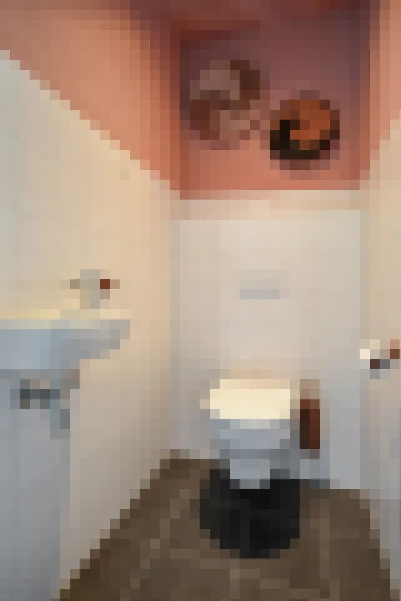 Dijkmeerlaan 425 Amsterdam thumbnail 20