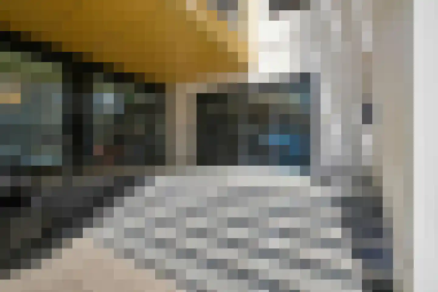 Dijkmeerlaan 425 Amsterdam thumbnail 21