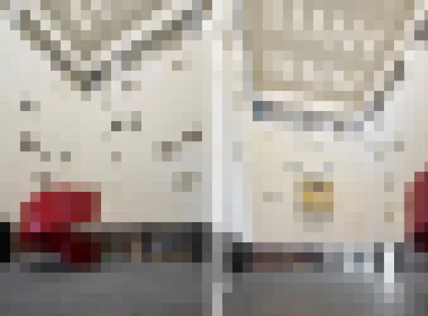 Dijkmeerlaan 425 Amsterdam thumbnail 22