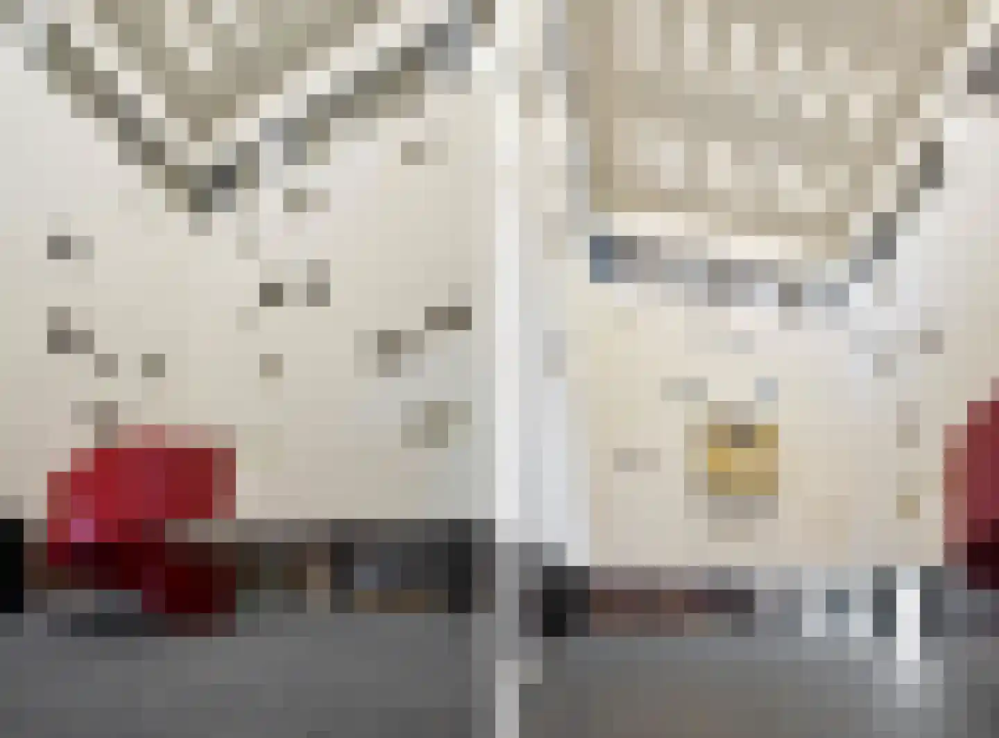 Dijkmeerlaan 425 Amsterdam thumbnail 23