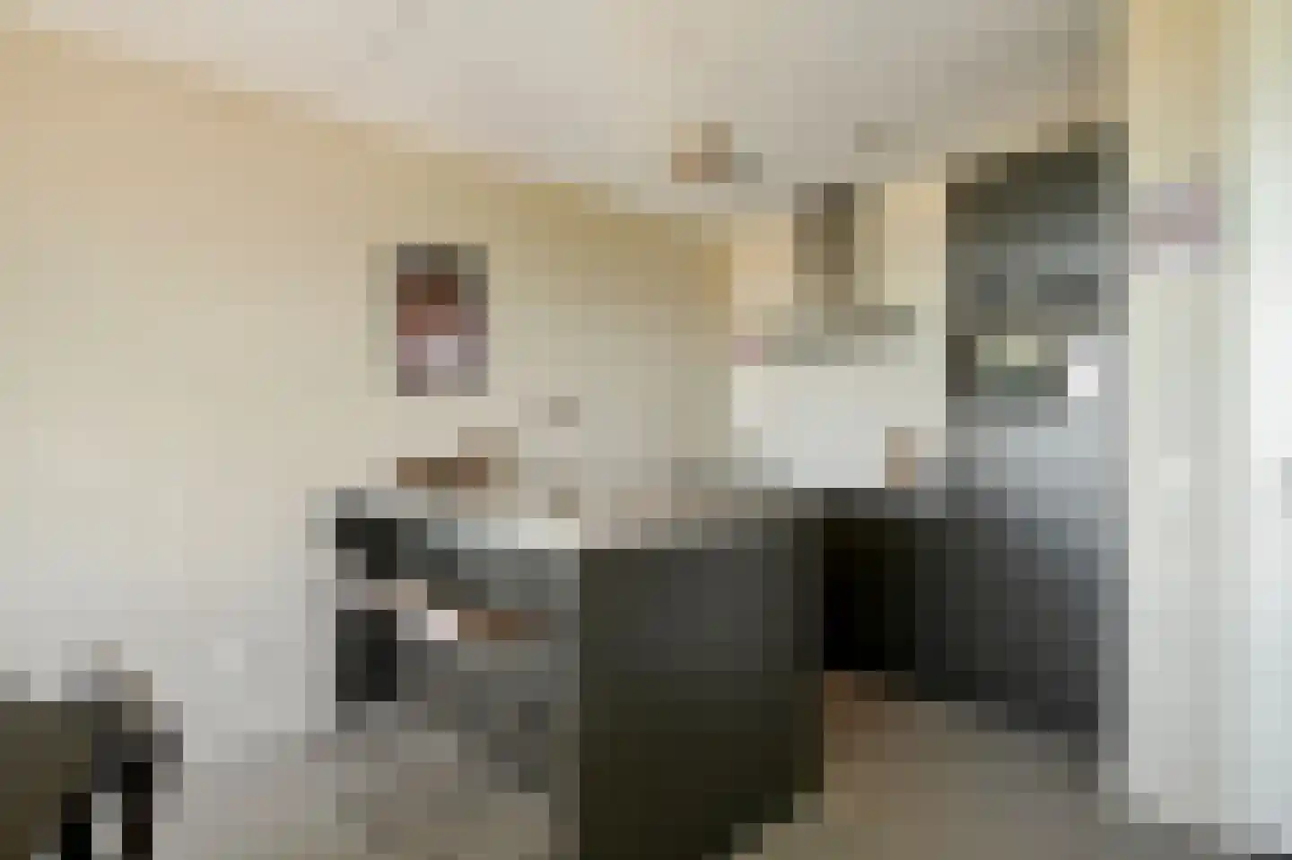 Dijkmeerlaan 425 Amsterdam thumbnail 9