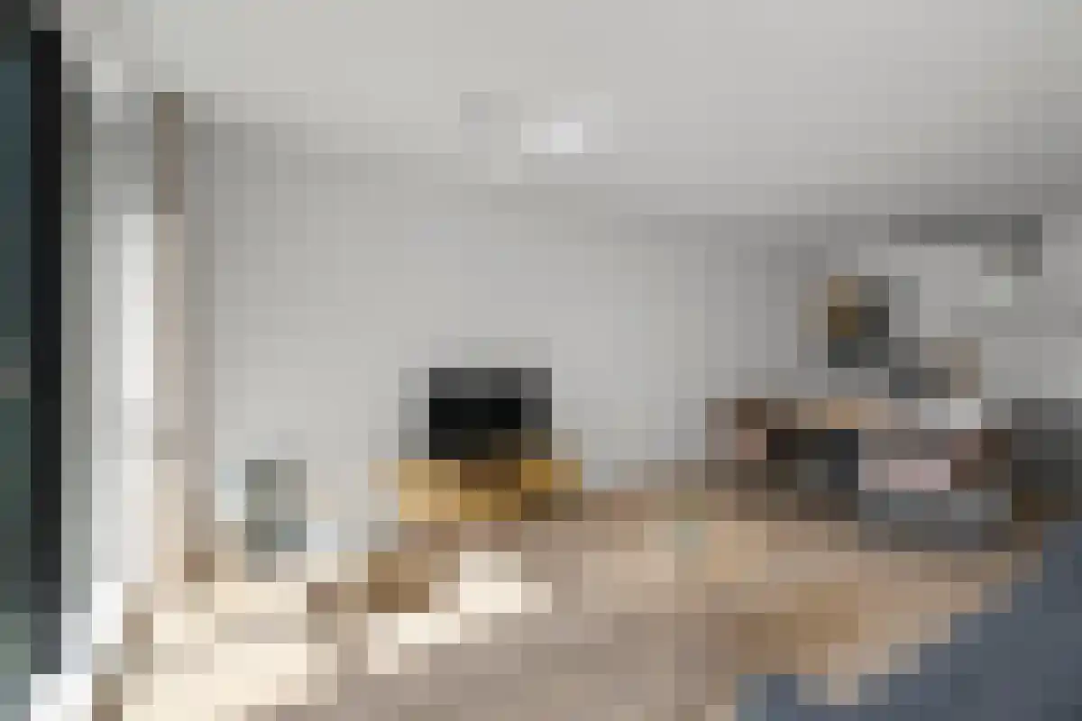 Dijkmeerlaan 431 Amsterdam thumbnail 5