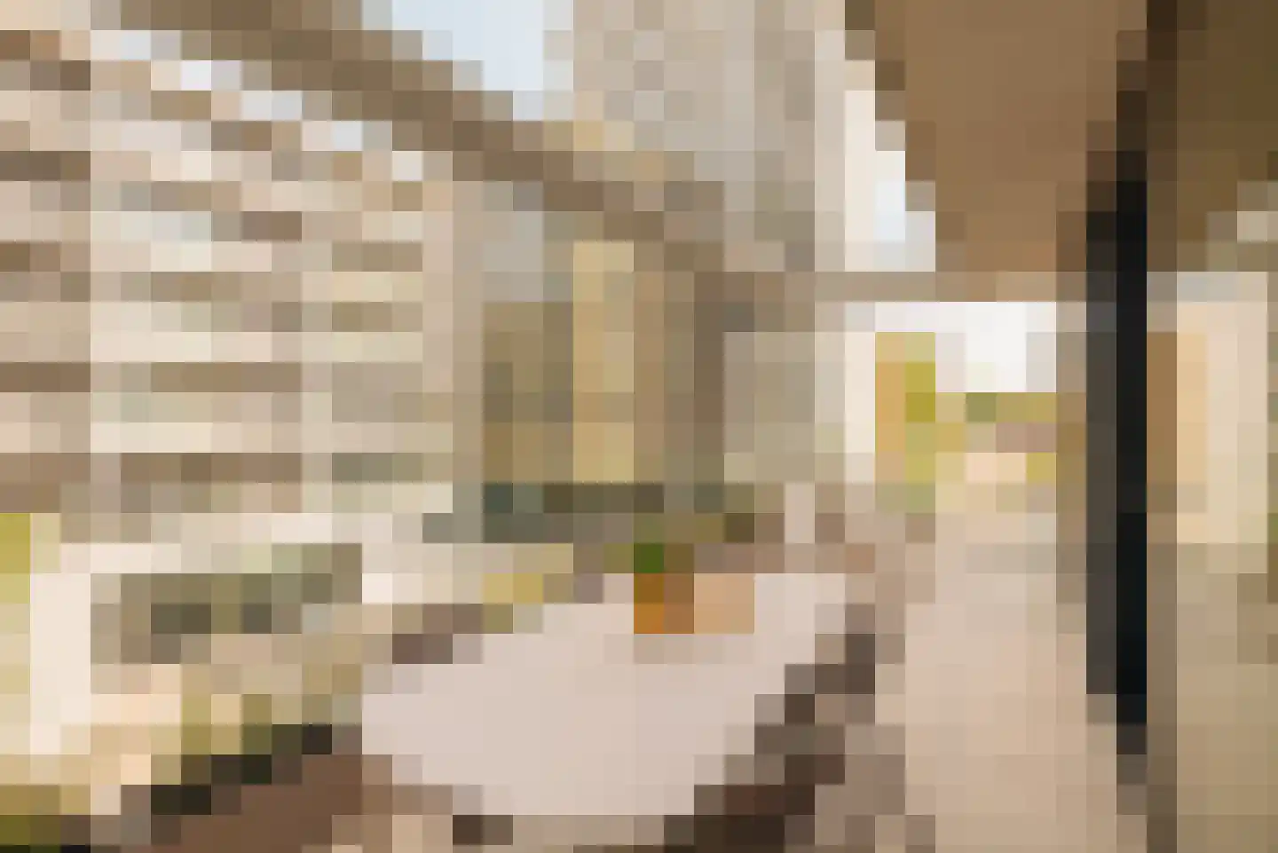 Dijkmeerlaan 44 Amsterdam thumbnail 10