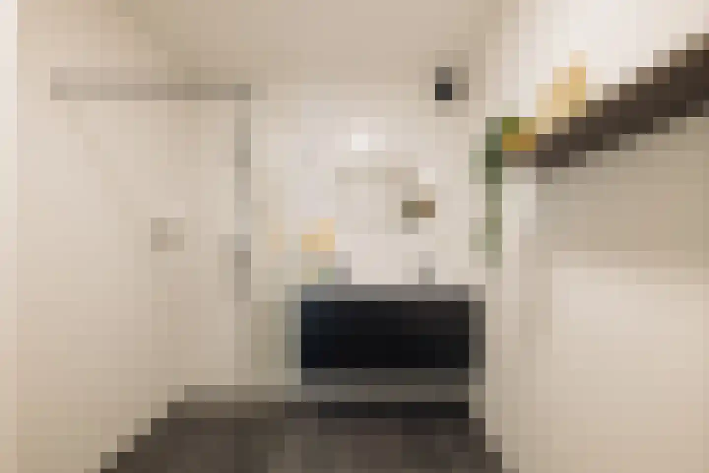 Dijkmeerlaan 44 Amsterdam thumbnail 20