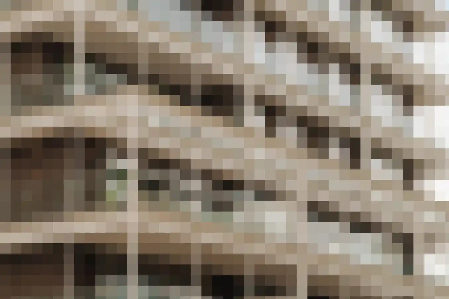 Dijkmeerlaan 44 Amsterdam thumbnail 25