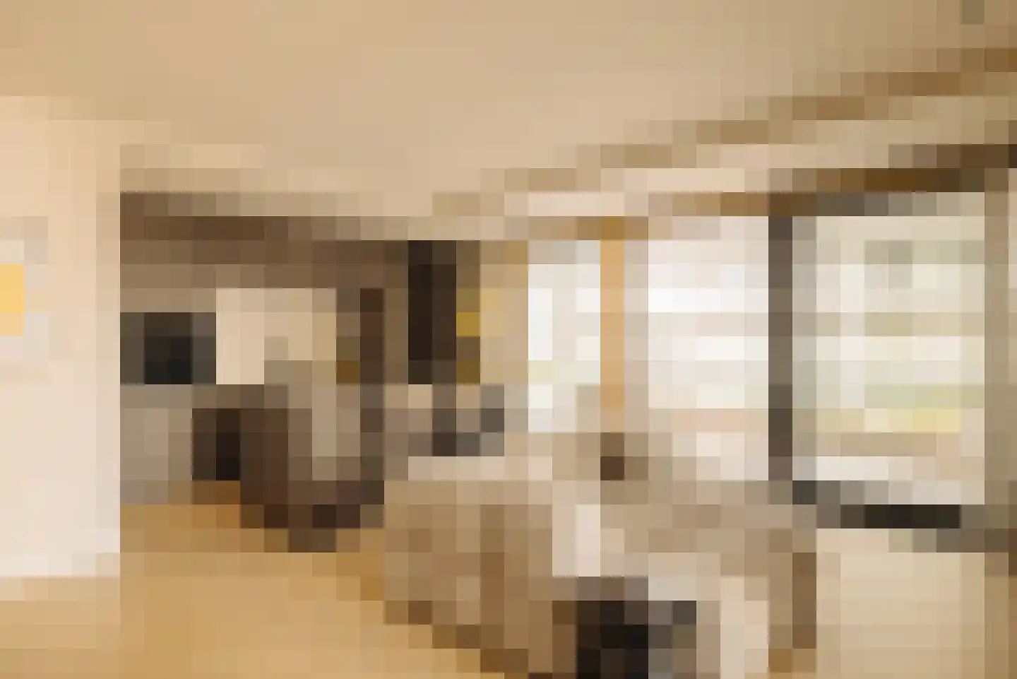 Dijkmeerlaan 44 Amsterdam thumbnail 6
