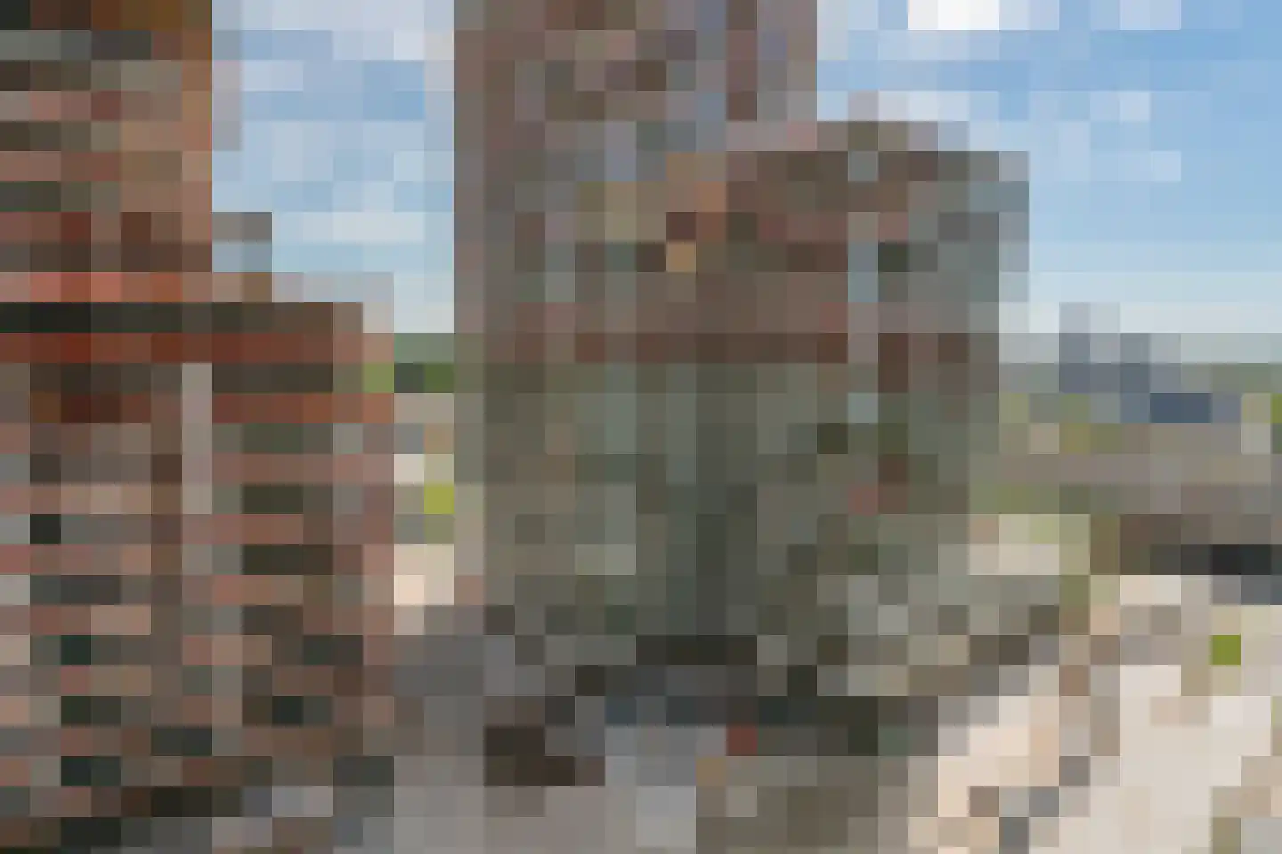 Dijkmeerlaan 449 Amsterdam thumbnail 14