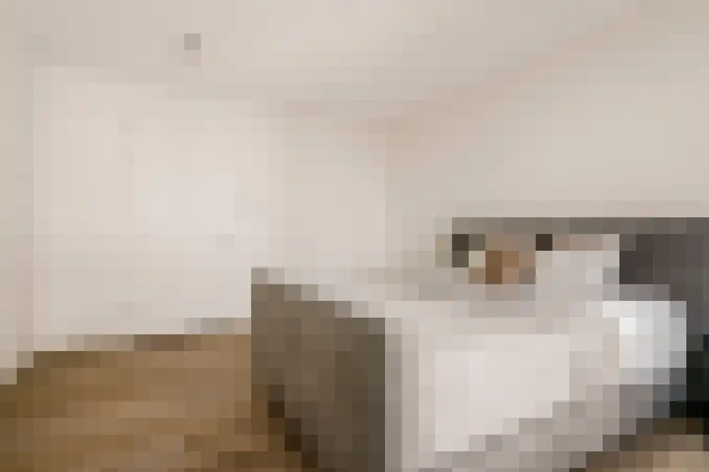 Dijkmeerlaan 449 Amsterdam thumbnail 18
