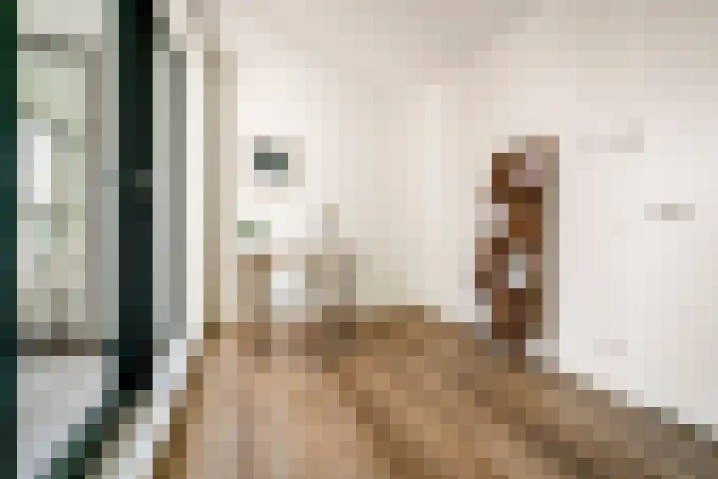 Dijkmeerlaan 449 Amsterdam thumbnail 20