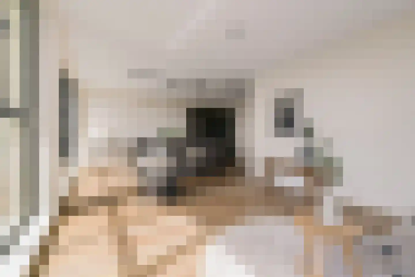 Dijkmeerlaan 449 Amsterdam thumbnail 6