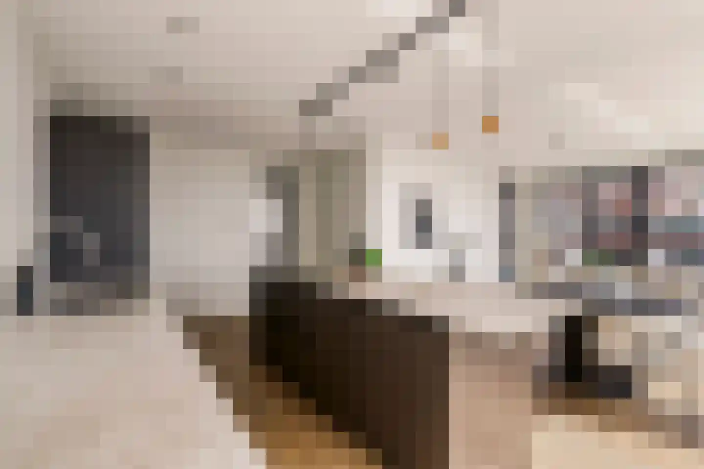 Dijkmeerlaan 449 Amsterdam thumbnail 8